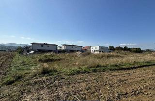 Grundstück zu kaufen in 3353 Seitenstetten, Top Grundstück mit Potenzial in Seitenstetten