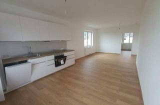 Wohnung mieten in 3712 Maissau, Erstbezug in Maissau