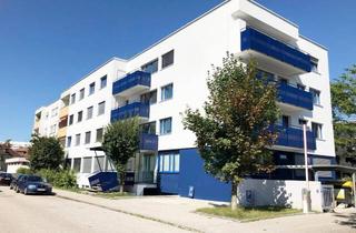 Wohnung mieten in 4600 Wels, Charmante Singlewohnung im Welser Stadtteil Neustadt!