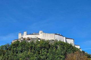 Wohnung kaufen in 5020 Salzburg, *** LAGE! LAGE! LAGE - IN NEUER DIMENSION *** TERRASSEN-WOHNUNG IM NONNTAL ***