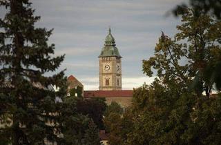 Haus kaufen in 4470 Enns, Arbeiten mit Geschichte: Toplage am Hauptplatz von Enns
