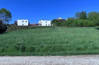 Grundstück zu kaufen in 8323 Krumegg, Freiland - Grundstück