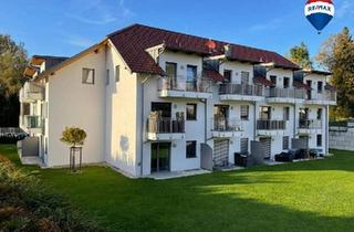 Wohnung mieten in 4730 Waizenkirchen, Attraktive Singlewohnung mit Balkon ( Top 12, 34,22 m², 1.OG )