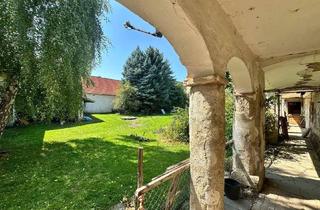 Bauernhäuser zu kaufen in 2165 Drasenhofen, Sanierungsbedürftiger Bauernhof mit großem Grundstück, Stallungen und Stadl – ländlicher Charme mit viel Potential!