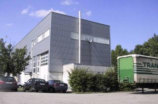Büro zu mieten in Franzosenhausweg 51, 4030 Linz, Lagerhalle Linz - Franzosenhausweg ++ Direkt vom Eigentümer ++