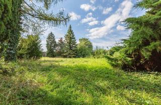 Grundstück zu kaufen in 2332 Hennersdorf, Ortszentrum Hennersdorf: Wunderschönes Wohnbau-Grundstück im Kerngebiet (12 Wohneinheiten)