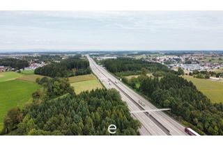 Grundstück zu kaufen in Voralpenkreuz, 4642 Sattledt, Sattledt - 2,5ha Betriebsbaugrund direkt an der Autobahn!