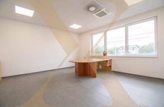 Büro zu mieten in Salzburger Straße, 4020 Linz, Ihr neuer Standort an der Salzburger Straße in Linz - Tolles 1-Raum-Büro zu vermieten!