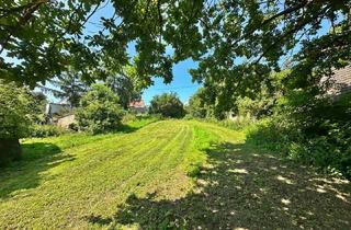 Lager kaufen in 2165 Drasenhofen, Baugrundstück mit sanierungsbedürftigem Bauernhof, Stallungen und Stadl in ländlicher Lage zu verkaufen.