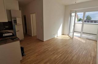 Penthouse mieten in Dornschneidergasse 27, 8020 Graz, Provisionsfreie moderne 2-Zimmer Penthousewohnung mit Dachterrasse
