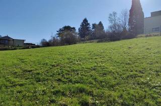 Grundstück zu kaufen in 3033 Altlengbach, Entfalten Sie Ihren Wohntraum auf diesem Grundstück