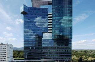 Büro zu mieten in Donau, 1220 Wien, SATURN TOWER