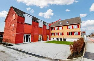 Maisonette mieten in Bauern 21A, 6844 Altach, Große 2-Zimmer-Maisonette-Wohnung mit ca. 78m² in Altach zu vermieten!