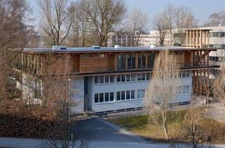 Büro zu mieten in Bauernstraße, 4600 Wels, Das Traumbüro - komplette, oberste Etage, riesiger Balkon, tolle Architektur, Parkplätze