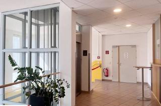 Büro zu mieten in 2340 Mödling, Top Adresse - mitten im Zentrum von Mödling zu mieten!