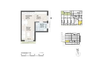 Wohnung mieten in Klenaugasse, 1220 Wien, Nahe Vetmeduni! Straßenseitige Erdgeschoßgarconniere in Donaustadt zu vermieten!