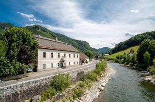 Haus kaufen in 3180 Lilienfeld, Vierkanthof mit vielen Nutzungsmöglichkeiten (private Nutzung aber auch geschäftliche Nutzungen)