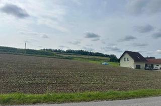 Grundstück zu kaufen in 4631 Krenglbach, Gewerbegrundstück mit MB Widmung direkt an die Hauptstrasse B 137 angrenzend