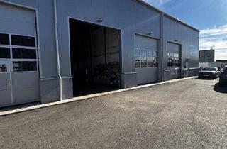 Büro zu mieten in 4611 Buchkirchen, Werkstatt-Halle + Büro im Nebengebäude in Buchkirchen zu mieten- Parkplätze vorhanden!