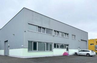 Büro zu mieten in 4812 Wiesen, Großzügige Büroeinheit über zwei Etagen mit moderner Ausstattung in Pinsdorf zu mieten!