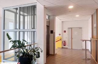 Büro zu mieten in 2340 Mödling, Top Adresse - mitten im Zentrum von Mödling zu mieten!