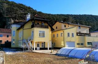Villen zu kaufen in 2560 Berndorf, Bezirk Baden, Stilvolle, renovierte Jahrhundertwendevilla mit fast 1000m² Garten zu verkaufen.