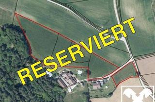 Grundstück zu kaufen in 9113 Ruden, Ruhige Lage! Landwirtschaftliche Nutzfläche mit Baugrund im Bezirk Völkermarkt