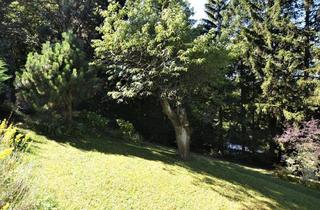 Grundstück zu kaufen in An der Grenze, 1140 Wien, Baugrundstück im Augustinerwald - Naturidylle mit Hanglage