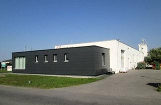 Lager kaufen in S 31, Oberpullendorf, Kirchschlag,, 7372 Draßmarkt, Attraktiver, vielseitiger Standort für Produktion, Verkauf, Handel oder Gewerbe!