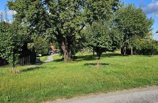 Grundstück zu kaufen in 8524 Niedergams, Sehr schönes und sonniges Baugrundstück in Ruhelage