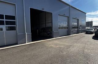 Büro zu mieten in 4611 Buchkirchen, Werkstatt-Halle + Büro im Nebengebäude in Buchkirchen zu mieten- Parkplätze vorhanden!