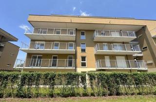 Penthouse kaufen in Zirbenweg, 8401 Kalsdorf bei Graz, Genießen Sie herrliche Sommertage in Ihrem idyllischen Eigenarten - viele weitere Wohnungen auch mit Balkon verfügbar!