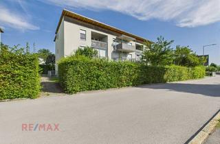 Wohnung mieten in Eschlestraße 11/W37 + Ae 24, 6971 Hard, Lichtdurchflutetes Wohnen in ruhiger Lage von Hard