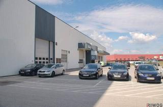 Büro zu mieten in 2351 Wiener Neudorf, Ebenergie Lagerhalle mit 294m² im IZ-Süd | auch Büros verfügbar