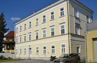 Haus kaufen in 3382 Loosdorf, Mehrparteienhaus im Zentrum