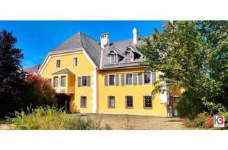 Haus kaufen in 9330 Mölbling, Prestigeobjekt-Gewerbefläche mit beeindruckendem Herrenhaus und Badeteich in Schlosspark