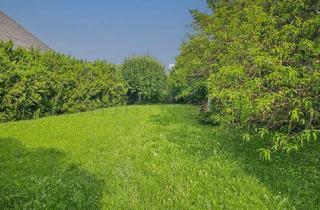 Grundstück zu kaufen in 2230 Gänserndorf, Gänserndorf Stadt: Wunderschönes Baugrundstück am westlichen Stadtrand