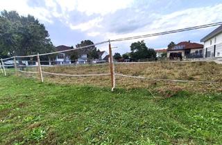 Grundstück zu kaufen in 7122 Gols, Zentrumsnahes Grundstück in Ruhelage!