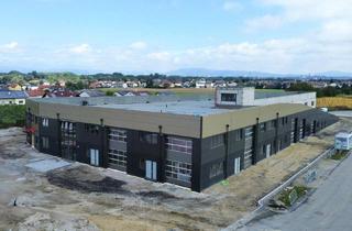 Büro zu mieten in 4052 Ansfelden, Gewerbe-/ Büro-/ Ordinations-/ Lagerflächen von 96 - 307 m² Fläche im Gewerbepark Ansfelden zu vermieten, Nähe A1 (Audorf Süd) (Top 05)