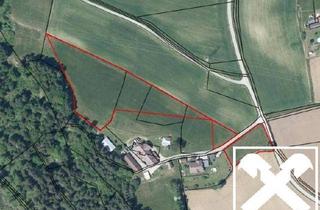 Grundstück zu kaufen in 9113 Ruden, Jetzt investieren! Landwirtschaftliche Nutzfläche im Bezirk Völkermarkt