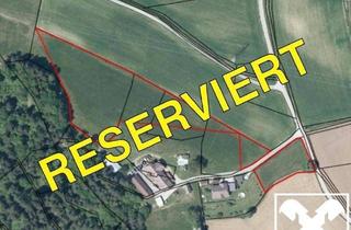 Grundstück zu kaufen in 9113 Ruden, Jetzt investieren! Landwirtschaftliche Nutzfläche im Bezirk Völkermarkt