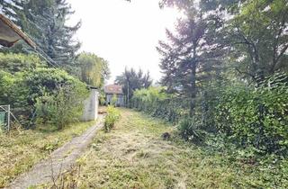 Haus kaufen in 1230 Wien, Willkommen in Ihrem zukünftigen Zuhause in Wien Liesing! Verwirklichen Sie Ihre Wohn-Träume! 2 Bestandobjekte!
