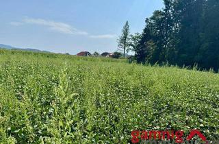 Grundstück zu kaufen in 9061 Klagenfurt, Baugrund mit Potenzial in Klagenfurt-Wölfnitz