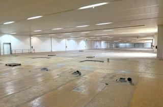 Immobilie mieten in 6500 Landeck, Flexible Gewerbeflächen für Lager und Logistik mit Top Anbindung- von 500 m² bis 11.000 m² verfügbar