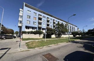 Wohnung mieten in Langobardenstraße 44, 1220 Wien, Loggiawohnugn mit 2 Zimmern - FINANZIERUNGSBEITRAG - Nähe Donau und U2