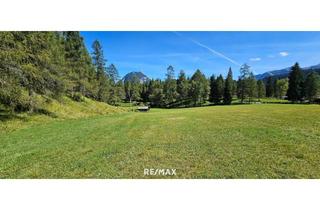 Grundstück zu kaufen in 6105 Leutasch, Naturnah investieren: Landwirtschafts- und Waldfläche!