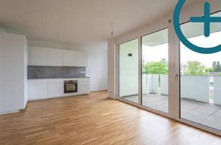 Wohnung mieten in Scherbangasse, 1230 Wien, 2-ZIMMER WOHNUNG MIT BALKON | SCHERBANGASSE 3