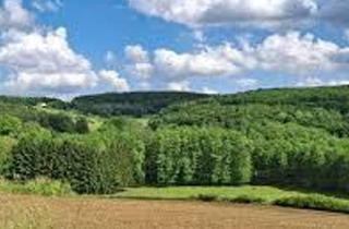 Grundstück zu kaufen in 7545 Neustift, Wald & Wiese & Bauland!