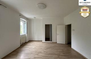 Wohnung kaufen in Krems, 3500 Krems an der Donau, In neuem Glanz! Anlegerwohnung in Ruhelage mit TOP-Rendite