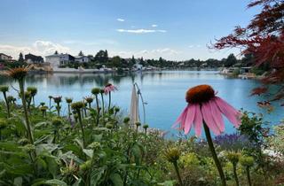 Haus mieten in 2443 Deutsch-Brodersdorf, Doppelhaushälfte direkt am See zu vermieten